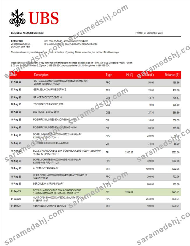 UBS Bank corporate checking account statement Word and PDF template